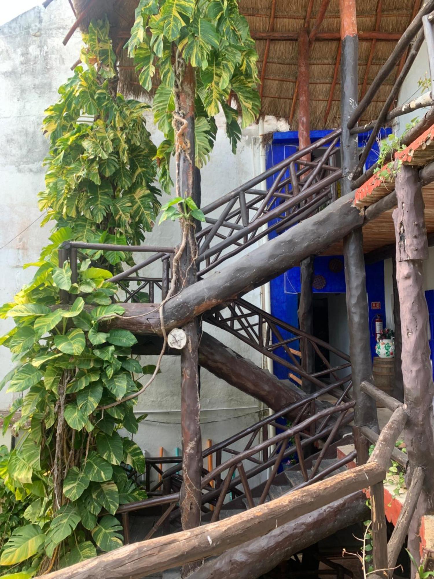 Casa Caribe Cancun Ngoại thất bức ảnh Bamboo staircase
