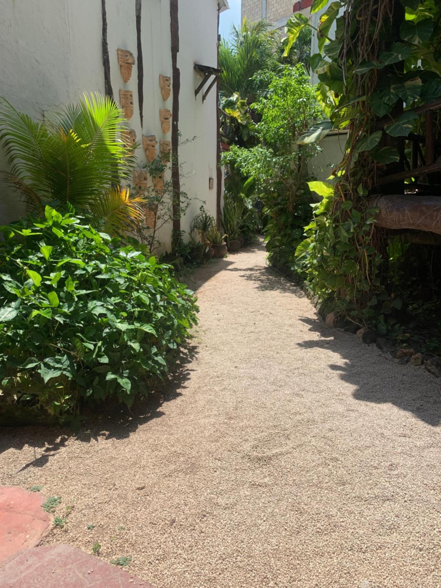 Casa Caribe Cancun Ngoại thất bức ảnh A typical alleyway in Tulum